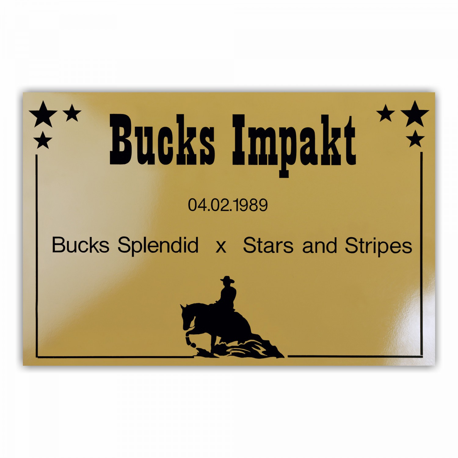Boxenschild Western
