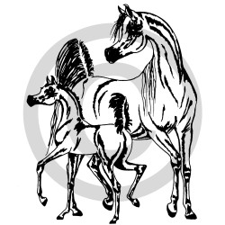 Wall Sticker "Mare with Foal"