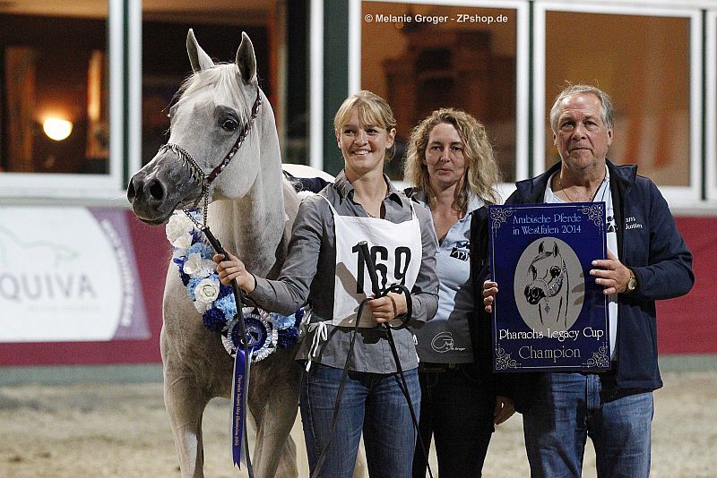 Trophäe von Arabian Plates