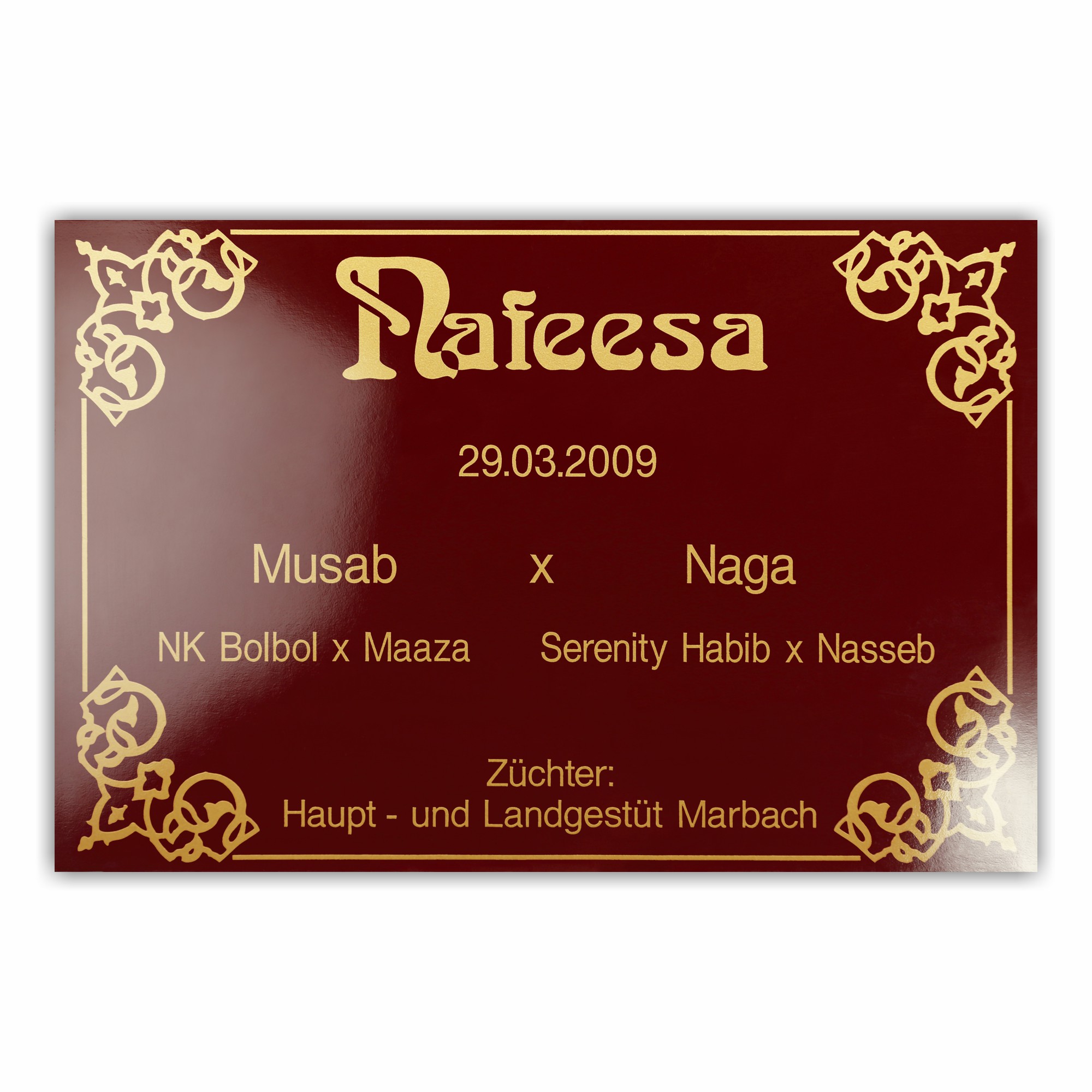 BX001 Boxenschild Abu Dhabi