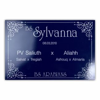 BX004 Boxenschild Bagdad