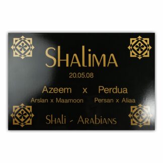 BX005 Boxenschild Dakar