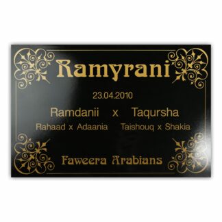 BX006 Boxenschild Desert