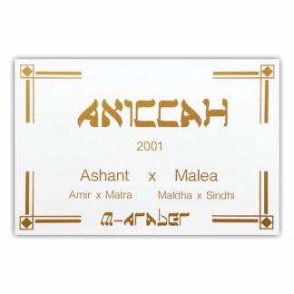 BX013 Boxenschild Modern