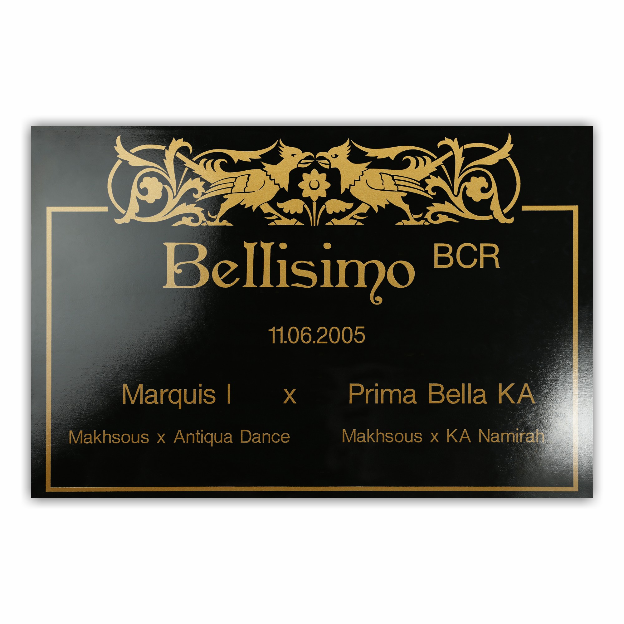 BX014 Boxenschild Nile