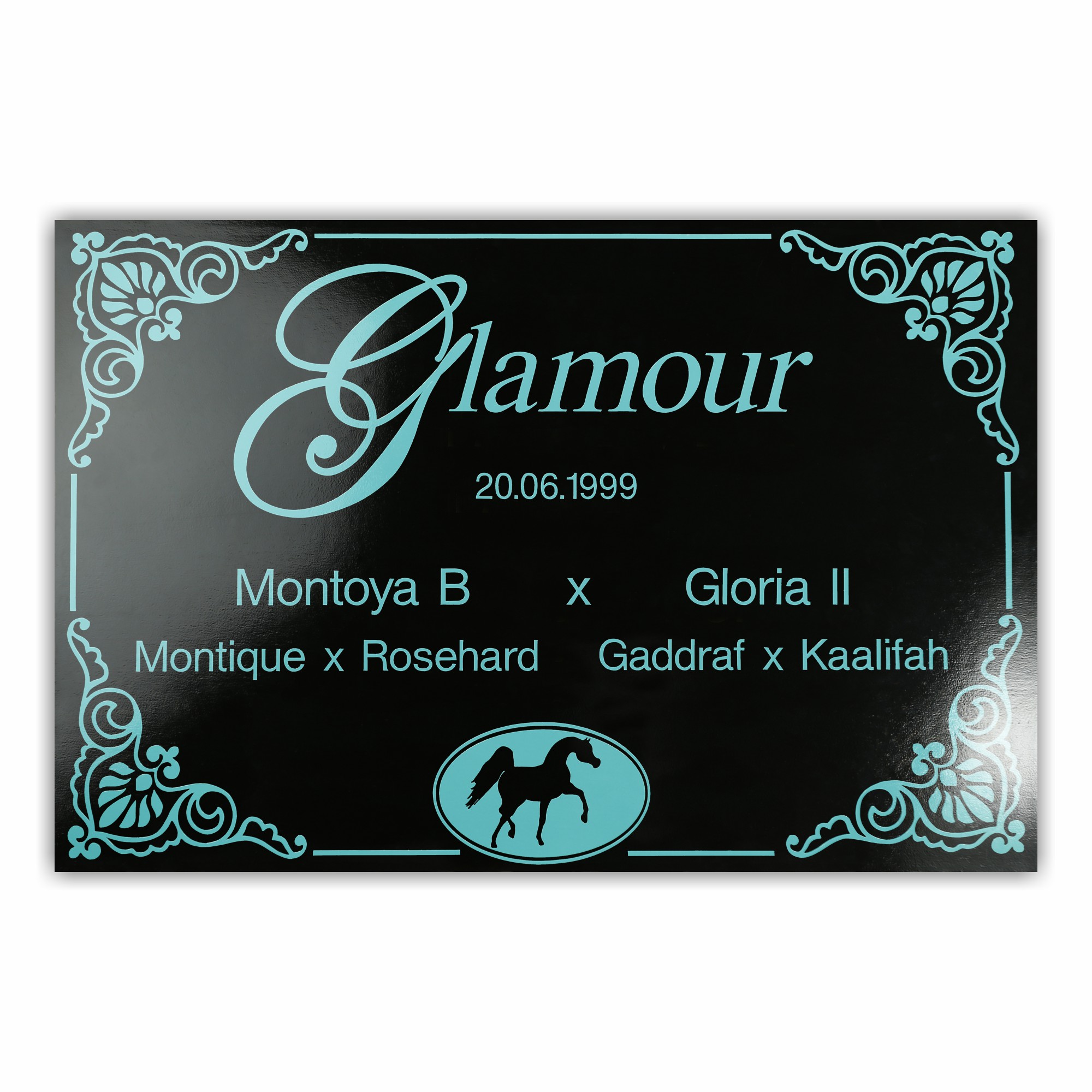 BX017 Boxenschild Ryad