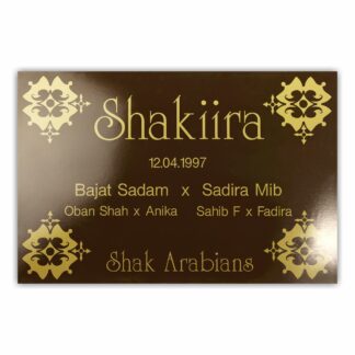 BX018 Boxenschild Sinai