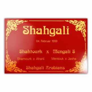 BX019 Boxenschild Tabuk