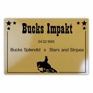 BX020 Boxenschild Western