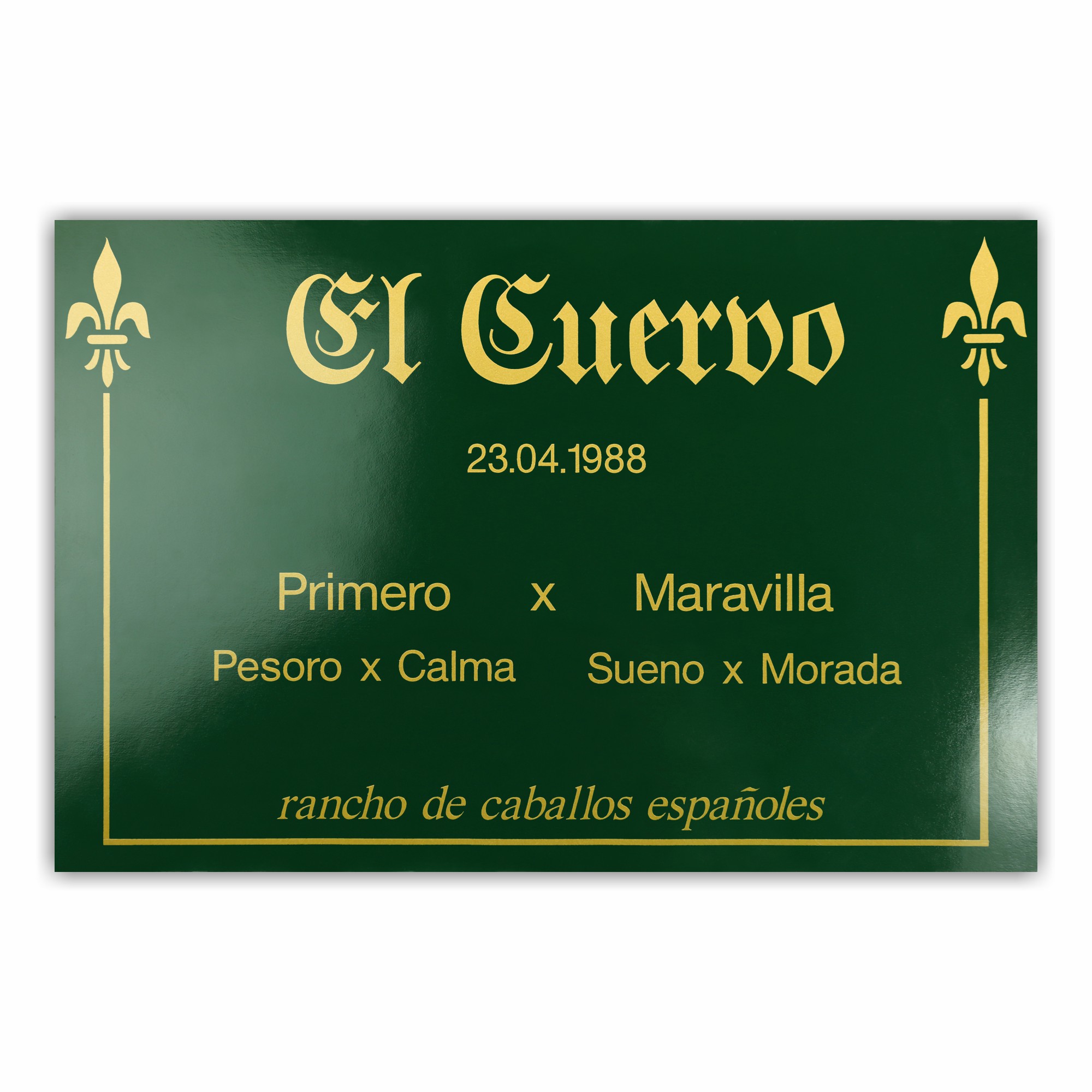 BX023 Boxenschild Baroque