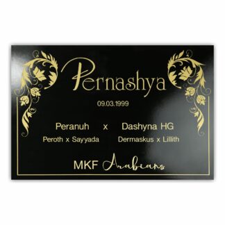 BX028 Boxenschild Medina