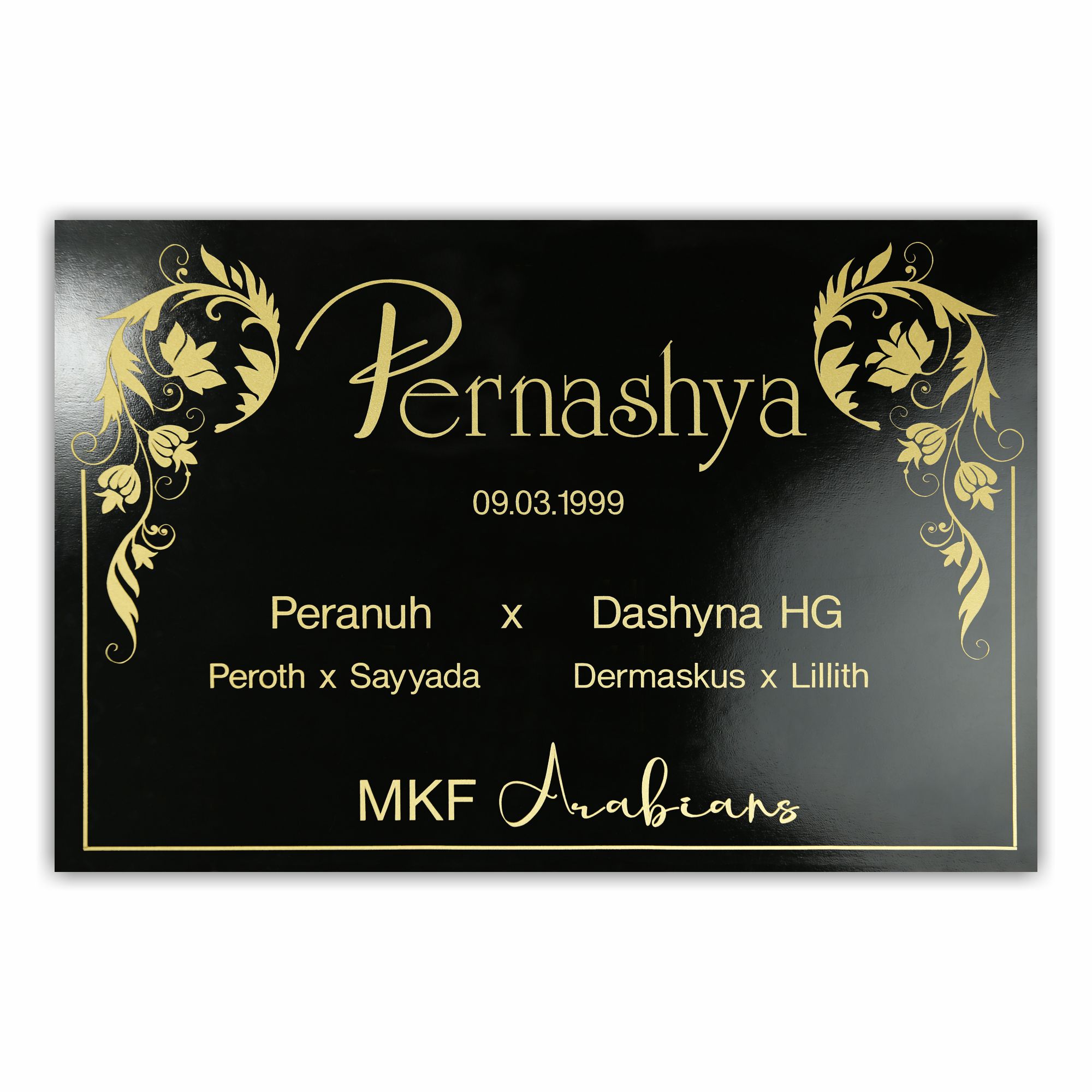 BX028 Boxenschild Medina