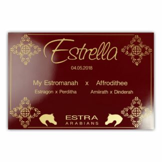 BX030 Boxenschild Sabya