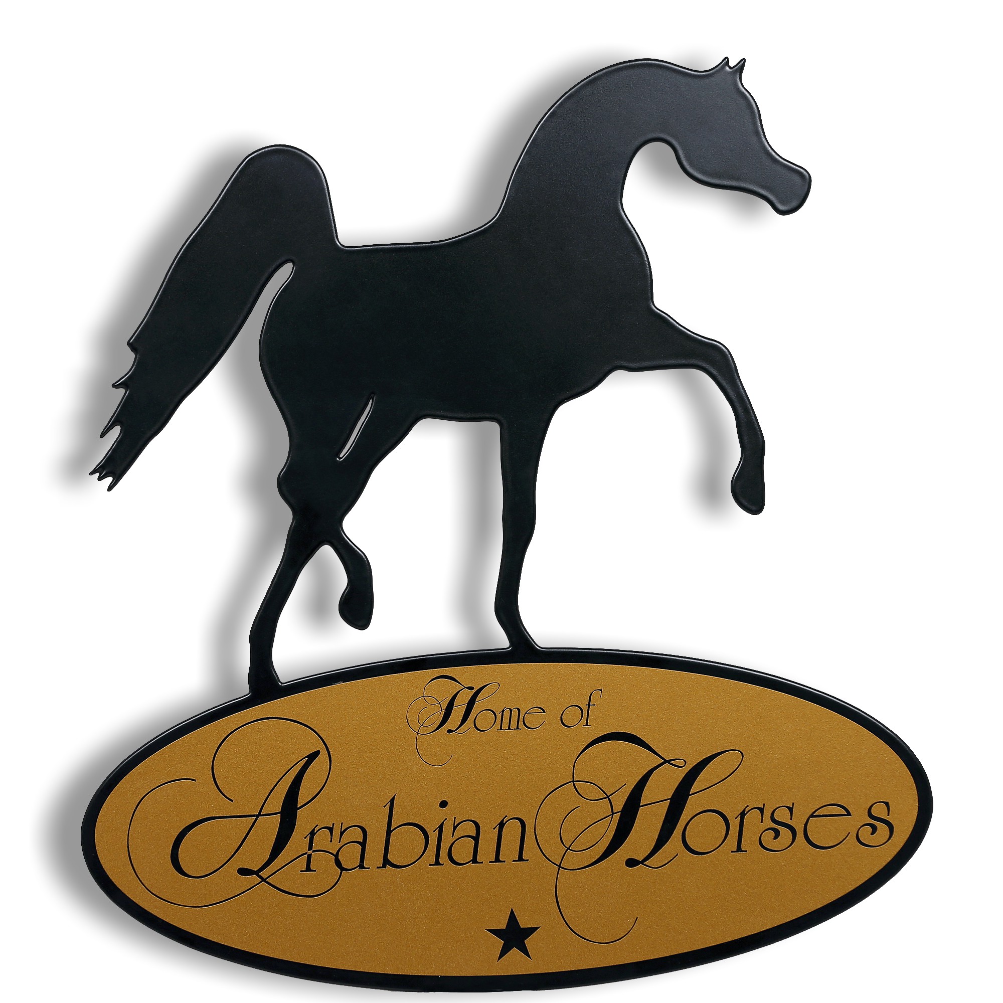 RF003M Relief Fliegen ohne Flügel Medium