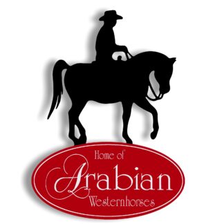 RF005L Relief Westernreiten Large