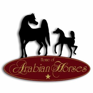 RF007L Relief Führung Large