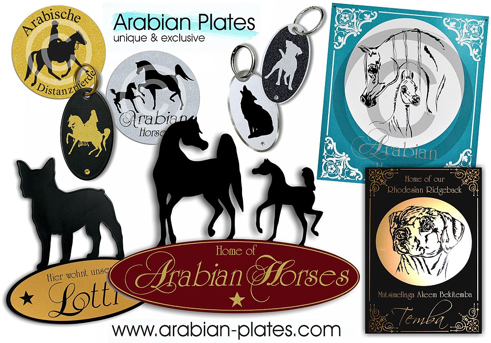 Arabian Plates - Portfolio Mix